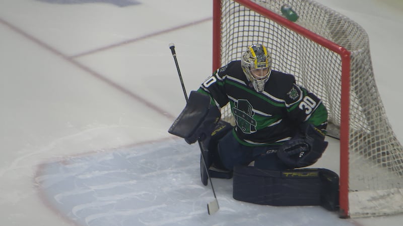 Black Bears goalie Tmej named FPHL Goalie of the Year