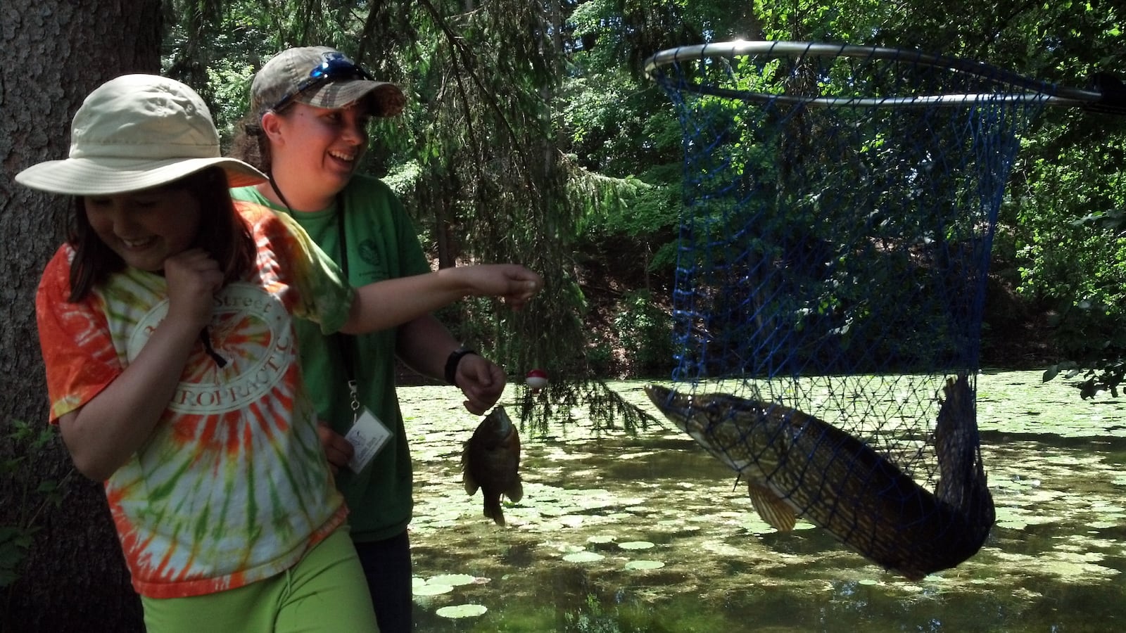 Friends of Rogers Environmental Education Center to host Family Fishing ...