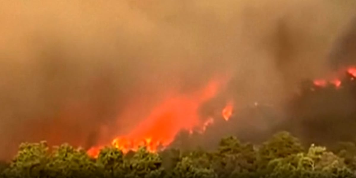 New York State Forest Rangers deployed to assist with Colorado wildfires