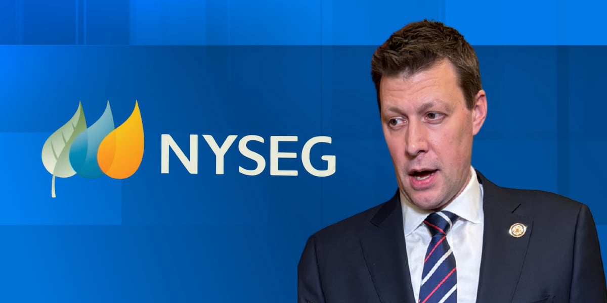 EXCLUSIVE: Rep. Riley calls for CEO of NYSEG parent company to testify ...