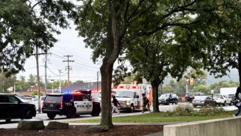 research on solar panels Endicott Police and the New York State Police and an ambulance responded to a situation on...