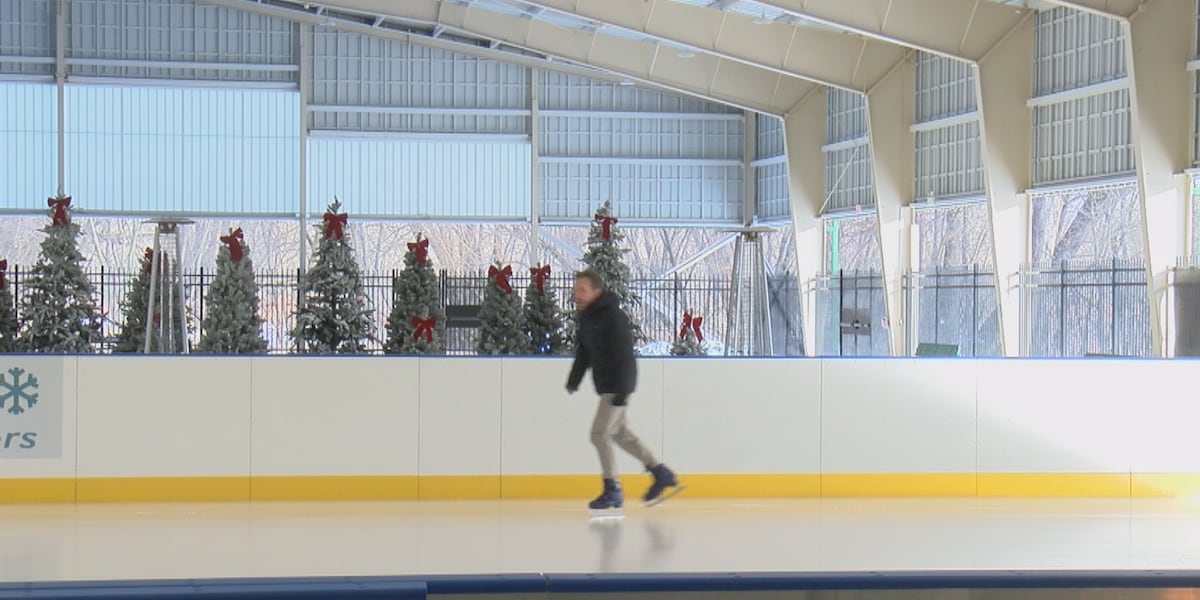 Martin Grove Rink Grippen Community Park opens new indoor ice skating rink