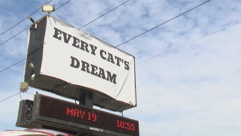 Every Cat’s Dream rescue is closing its doors after nearly two decades of serving animals in...