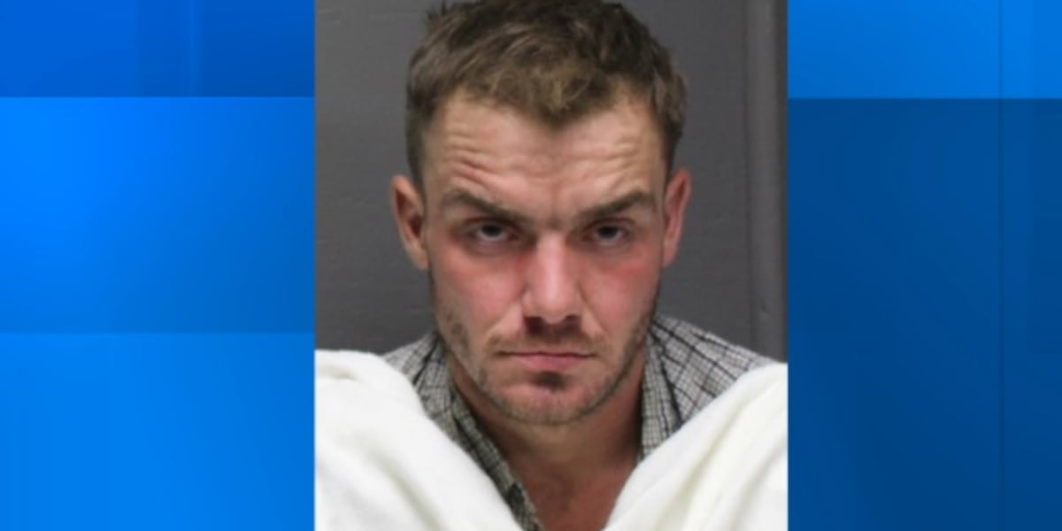 Pennsylvania man with gun arrested after fleeing police for days