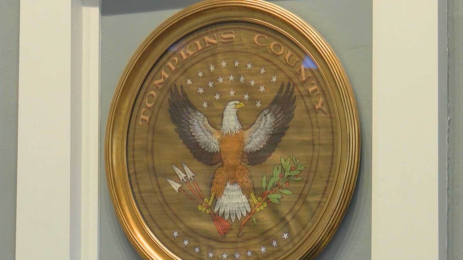 Tompkins County Sheriff’s Office launches online Transparency Hub