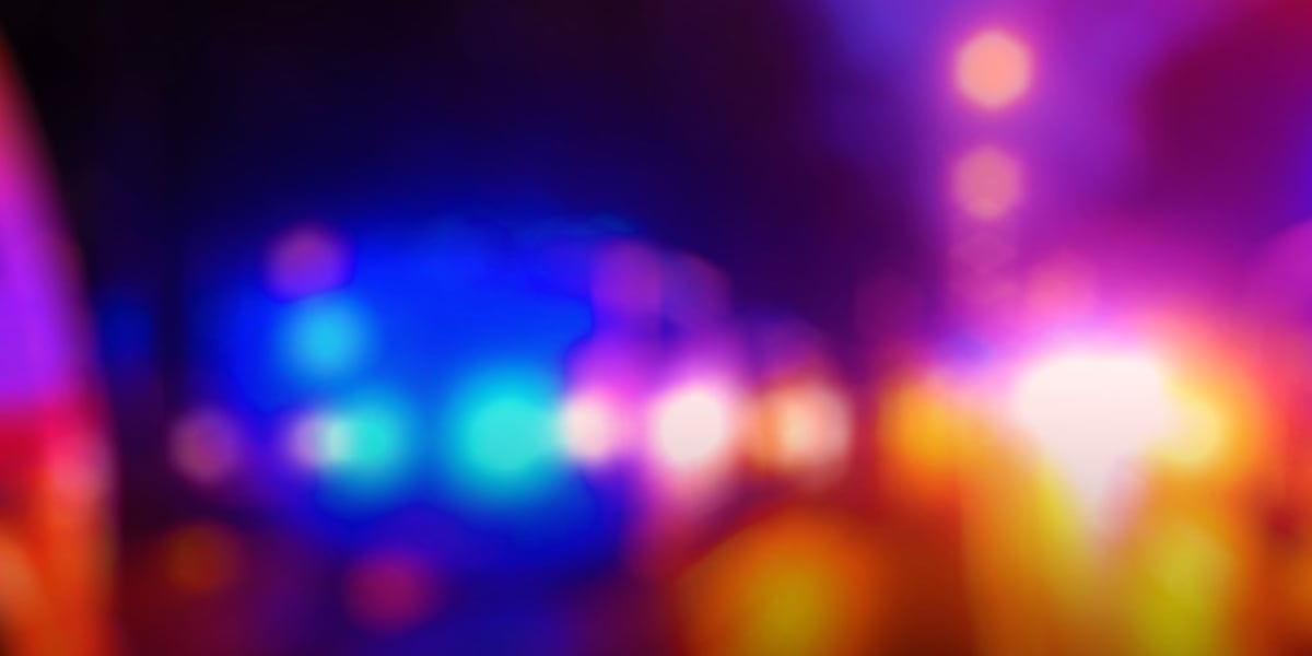 Four arrested after reported break-in at business in Lansing