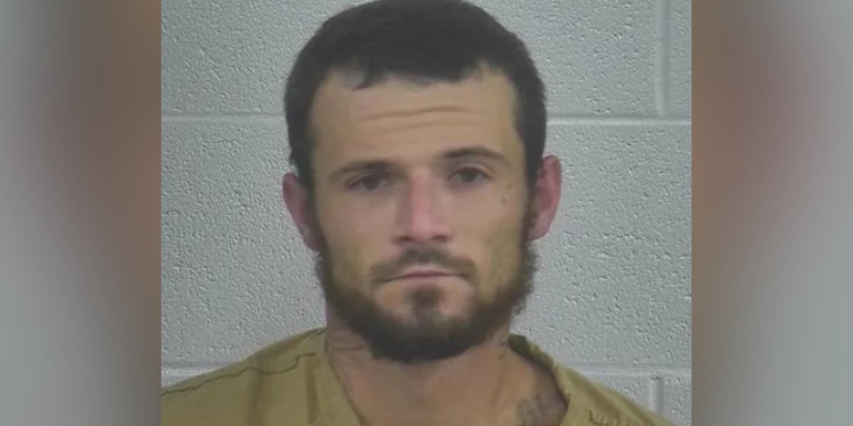 Man accused of running from deputies, then asking for help when he got lost in the woods