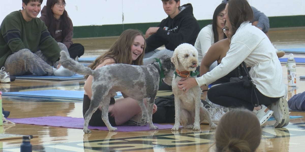 Mahasiswa Universitas Binghamton meredakan stres pada ujian akhir dengan yoga dan anjing