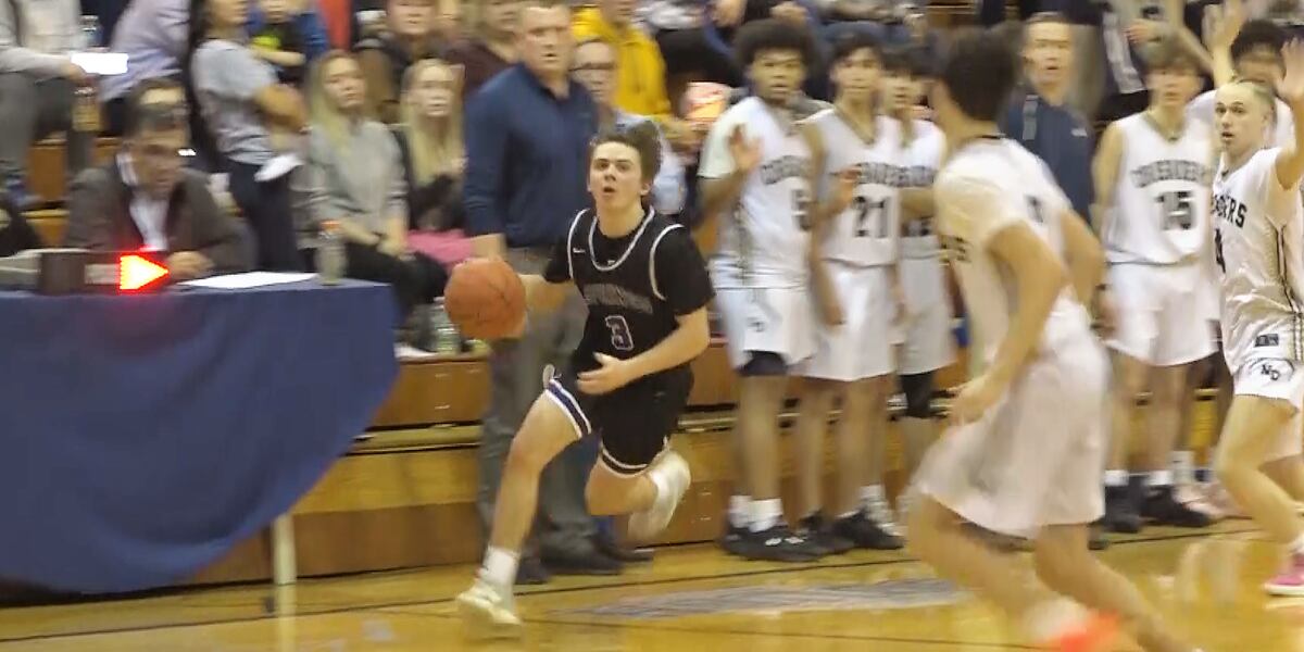Highlights Union Springs vs. Elmira Notre Dame (Section 4 Class C boys
