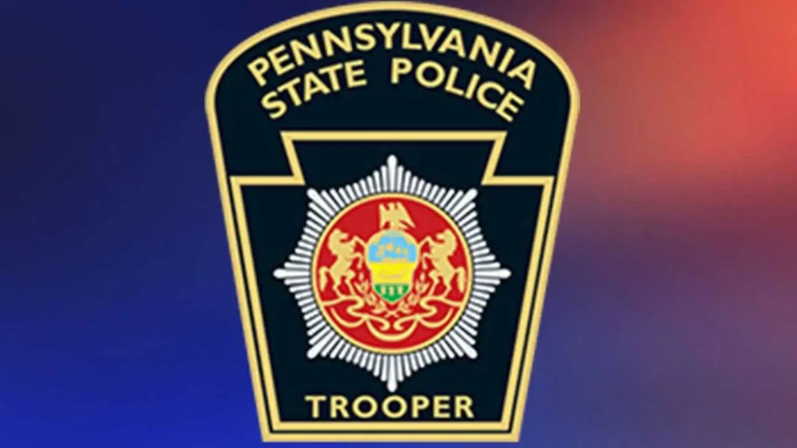 Bradford County woman arrested after alleged $100k theft from nonprofit ...