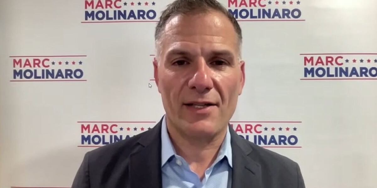 Rep. Molinaro concedes to Josh Riley