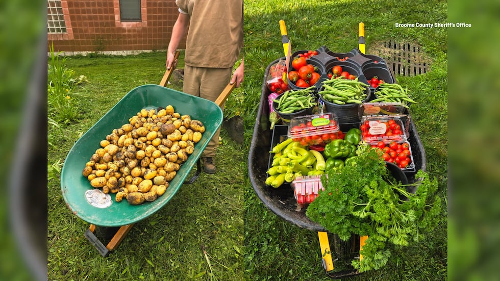 Over 85 lbs. of potatoes and 28 lbs. of tomatoes, peppers, peas and other produce were...