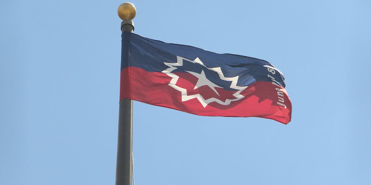 Binghamton raises Juneteenth flag at city hall ceremony