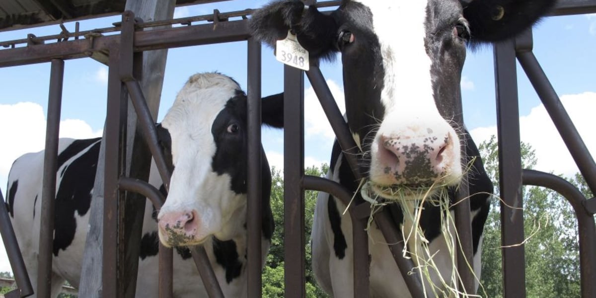 Sen. Kirsten Gillibrand and others discuss ways to support aging farmers