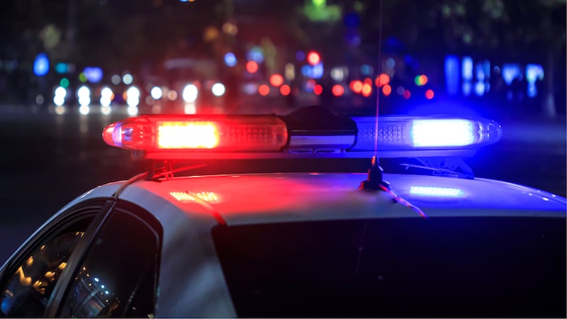 FILE - police lights