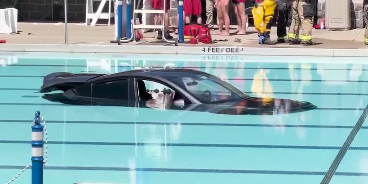 Lifeguard rescues man who drove his Tesla into a pool