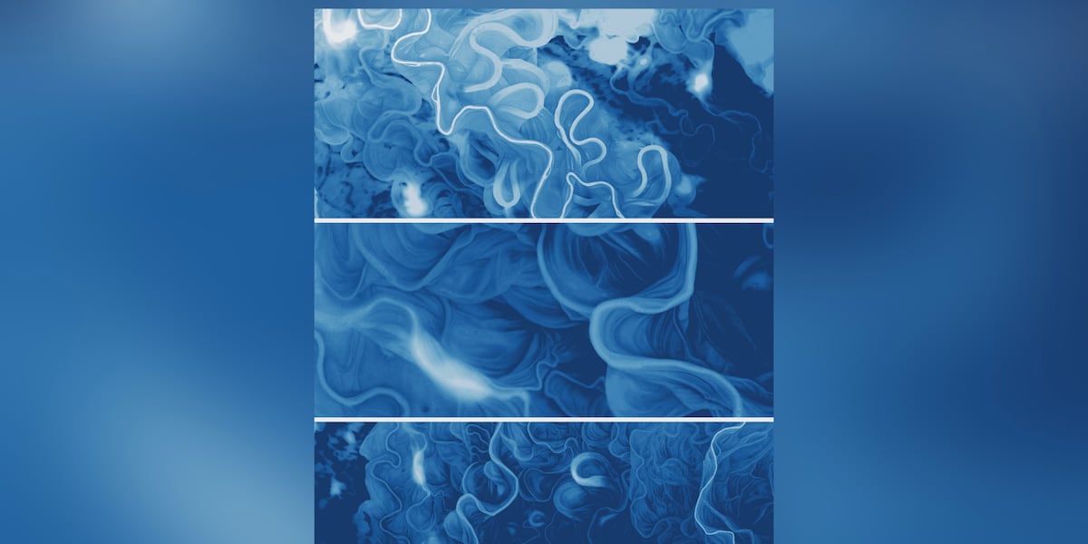 Binghamton University Art of Science exhibit opens to public