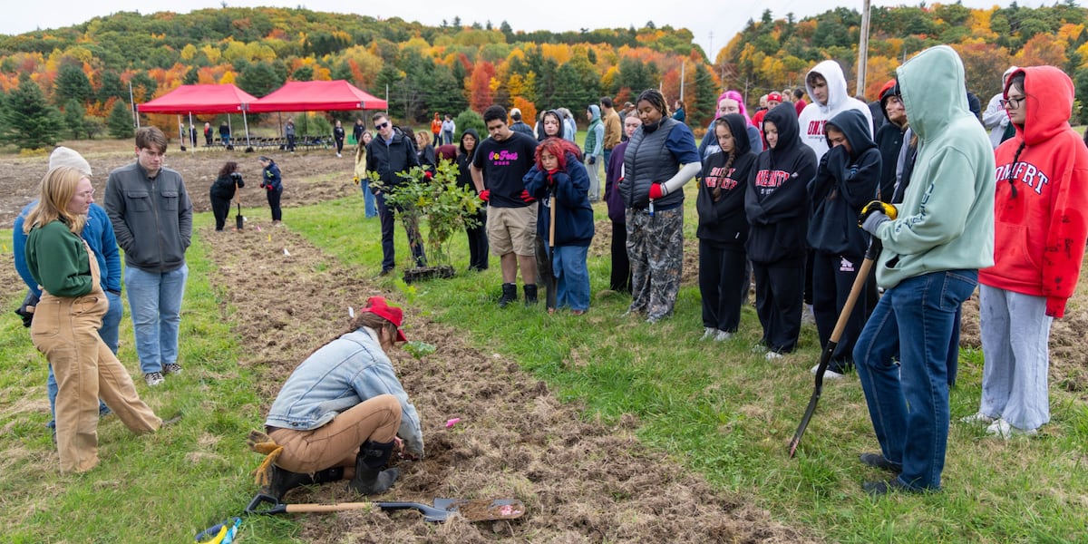 Photo: wbng.com Lancashire Volunteers Plant 109,000 Trees to Boost Biodiversity