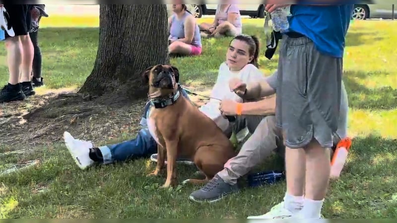 Pet owners sit in the grass with their dog at PawFest.
